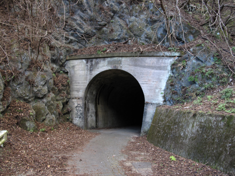 20170113hike (502)
